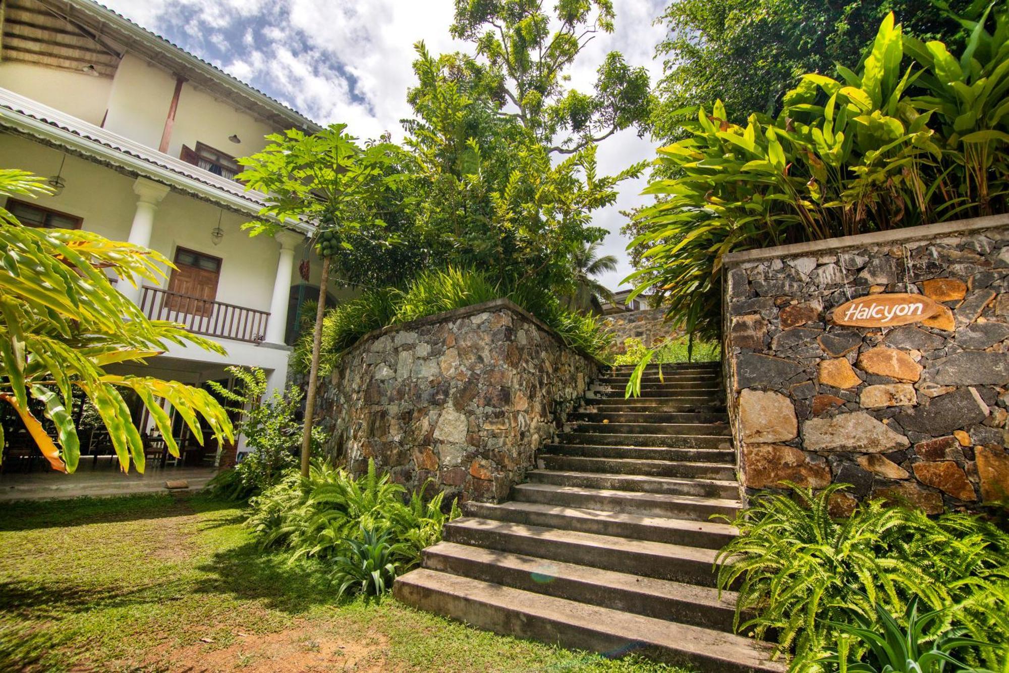Halcyon Galle Exterior photo