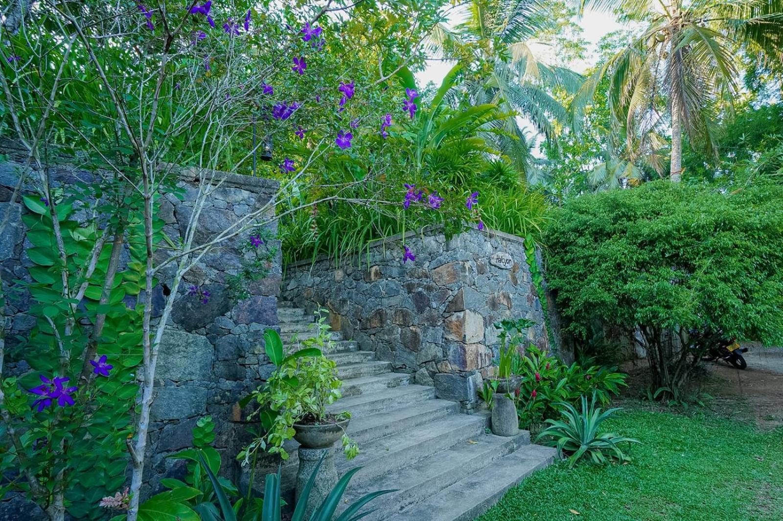 Halcyon Galle Exterior photo